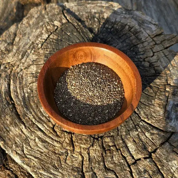 Chia seeds in a small bowl